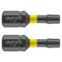 NÁRAZOVÉ HROTY TX20 X 25 MM 2 KUSY 56H513 GRAFIT
