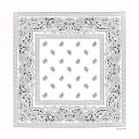 Bandana bandana bandana biela paisley šatka