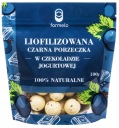 FORMELO ČIERNE RIBEZE SUŠENÉ V ČOKOLÁDE JOGURT 100% 100g