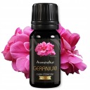 100% prírodný esenciálny olej z pelargónie 10 ml GERANIUM PELARGONIA