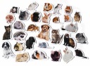 Magnety na chladničku Poznám PETS