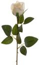 RUŽOVÁ RUŽA 62 CM VANILKA