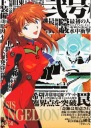Anime Plagát Neon Genesis Evangelion NGE 255 A3