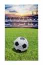 UTERÁK DO ŠKÔLKY NA RUKY 30x50 FUTBALOVÉ IHRA