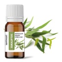 Eukalyptový esenciálny olej EUKALYPTUS 100% NATURAL 10ml