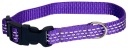 GOLÍK PRE PSA S ODRAZOM, NASTAVITEĽNÝ 20-30 CM/16
