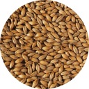Best Ale Crisp jačmenný slad 1 kg