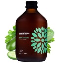 KOMBUCHA Uhorka + Koriander LB VIGO BEZLEPKU 0,3l