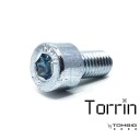 10 x TORRIN imbusová skrutka 6x16, DIN 912 pozink