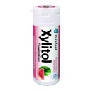 MIRADENT Xylitolové žuvačky s xylitolom VODOVÝ MELÓN 30 ks.