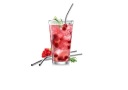 TESCOMA MYDRINK STEEL SLAMKA 4 ks