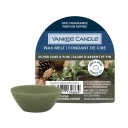 Silver Sage & Pine - Yankee Candle - vonný vosk