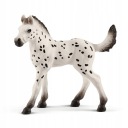SCHLEICH HORSE CLUB Plemeno žriebäťa Knapstrupper KORSE 13890