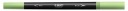 BIC Dual Tip obojstranný popisovač - GREEN PASTEL