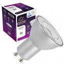 GU10 LED žiarovka 6,5W teplá biela IQ 2700K