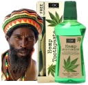 Súprava zubných kefiek XPEL HEMP - KONOPNÝ OLEJ