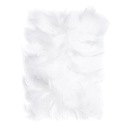 Ozdobné pierka - biele, 10 g