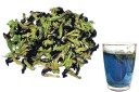 Certifikát modrého čaju Clitoria ternate