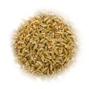 ZELENÁ ŠPALDA Grünkern celozrnná 500g špaldová diéta