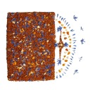 ROOIBOS ČAJ KALAHARI POMERANČ 100g CHUTNÝ