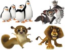 NÁLEPY NA ZRKADLOVÉ OKNÁ TUČŇACI Z MADAGASKARU