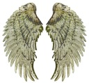 Termo nášivka Flitre Gold Wings VEĽKÁ 34cm