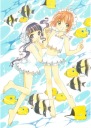 Anime Manga Cardcaptor Sakura Plagát ccs_567 A3