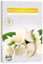 Bispol HEATERS p15 vôňa BLOOMING JASMINE 4h