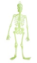 Svietiaci prívesok s fosforeskujúcim skeletom na Halloween