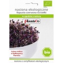 BIO semená klíčkov - Červená kapusta 10g
