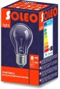 ŽIAROVKA 60W E27 2700K TEPLO HELIOS 630LM