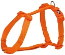 Prémiový postroj, XS–S: 30–44 cm/10 mm, farba papája