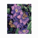 Diamantové vyšívanie Diamantové kvety 30x40cm DPX-02875
