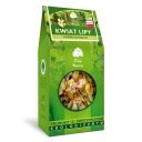 Lipa Kwiat EKO 30g - Dary Natury