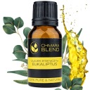 Eukalyptový esenciálny olej, EUKALYPTUS Eukalyptus 10ml