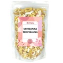 KVALITNÁ tropická zmes so sušeným ovocím a orechmi 500g zmes, ZDRAVÁ desiata