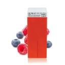 Voskový aplikátor Frutti Forest Fruits 100ml DEPILIA