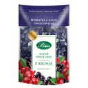 BiFix Ovocný nálev s aróniou, 100g