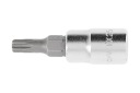 1/4 ZÁSUVKA S TORX T20 BIT HT1S644 Hogert