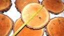 REZ DREVA, BREZA PEČIATKA, 22-25CM, 1KS