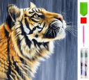 Diamantová maľba Diamantová výšivka Mosaic Diamond Set Creative 5D