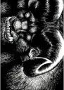 Anime Manga Berserk Plagát b_034 A3