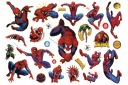 Odnímateľné tetovanie pre deti SPIDER-MAN CG188