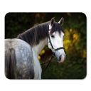 PODLOŽKA NA MYŠ HORSE HORSES