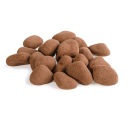 Zázvor v čokoláde s kakaom 100g