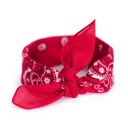 BANDANA, BAVLNENÁ ŠÁLKA, BANDANA, FARBY