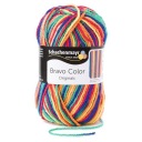 BRAVO COLOR priadza c.00090 Farba Melange