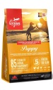 Orijen Puppy 340g DÁTUM