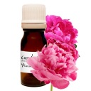 VÔŇA NA SVIEČKY V SKLE - PIVOŇA (10ml)