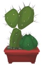 NÁLEPKA NA OKENNÉ ZRKADLO SKLO KVETOVÝ KVETOVÝ KAKTUS